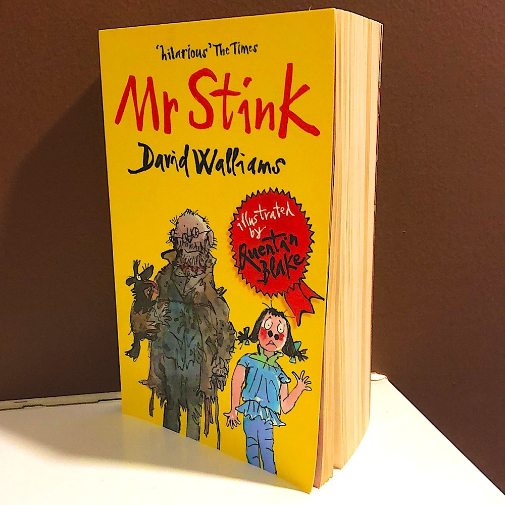 Mr Stink by David Williams